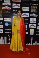 at SIIMA Awards 2016 Red carpet day 2 on 1st July 2016